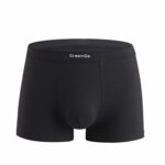 Boxerit